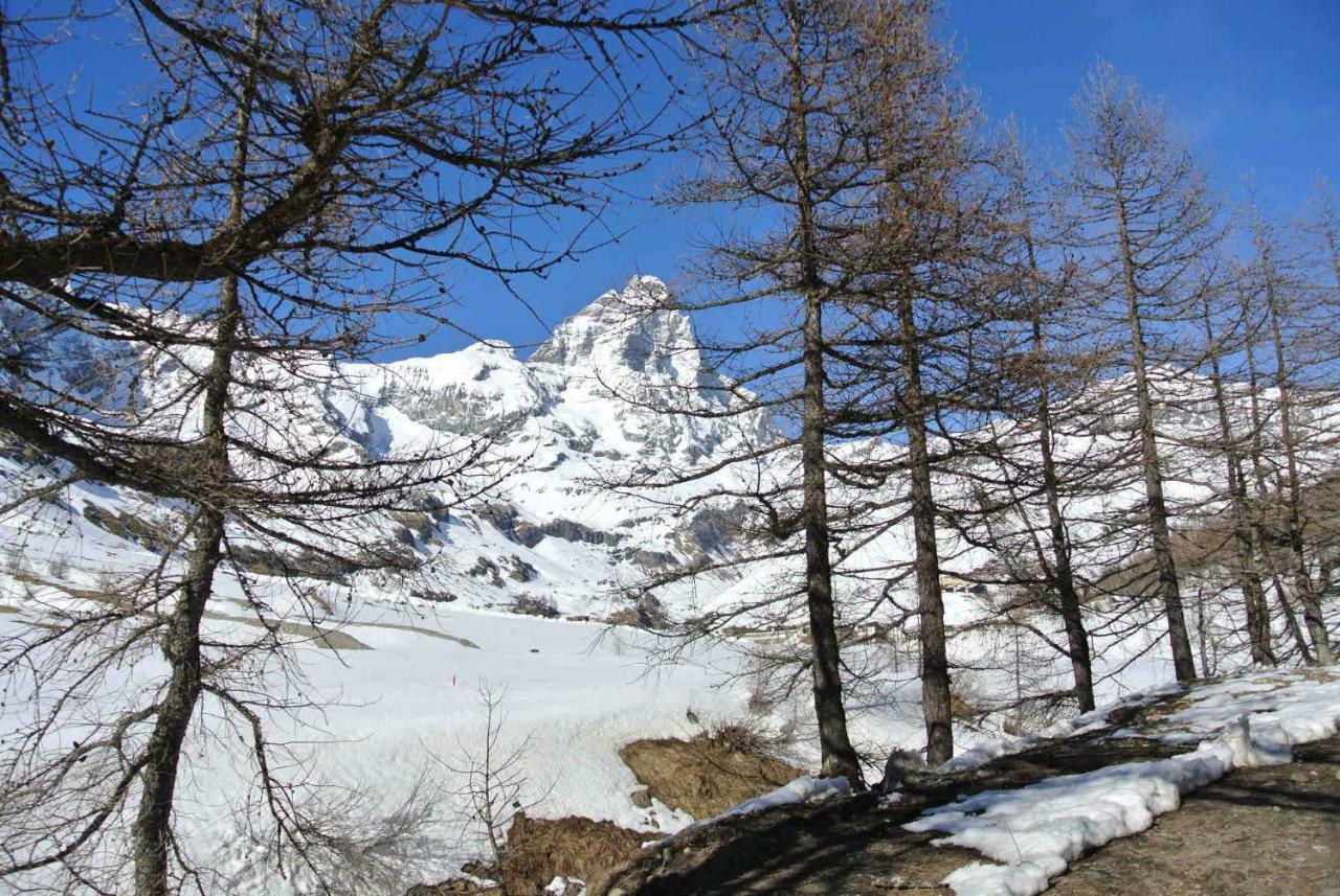 President Palace - Breuil Cervinia -Appartamento 6 - Cir 0634 Ngoại thất bức ảnh
